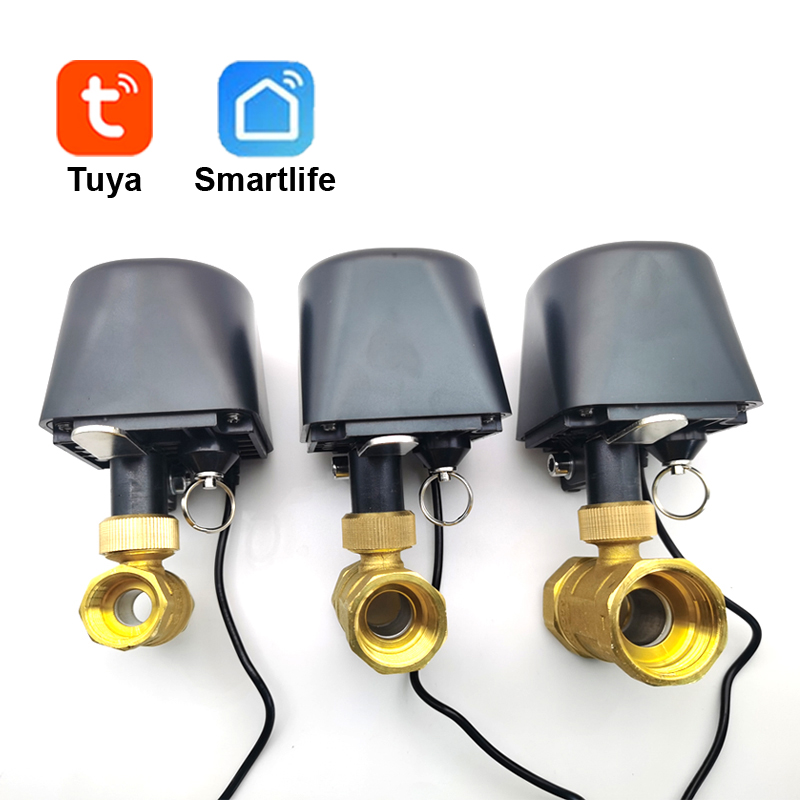 Tuya WiFi or Zigbee Water Valv - Smart Garden Sensors recensione e prezzo
